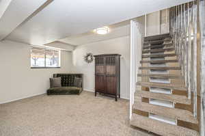 Stairs featuring a textured ceiling and carpet