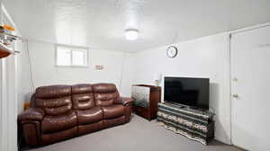 Living room with carpet floors and a textured ceiling