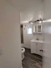 Bathroom featuring vanity, hardwood / wood-style flooring, and toilet