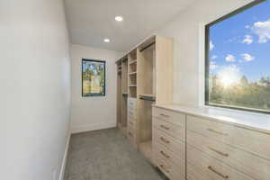 Walk in closet with light colored carpet