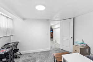 Office area featuring light colored carpet and a textured ceiling