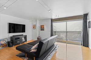 Living room with light wood-type flooring and rail lighting