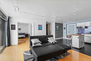 Living room with light wood-type flooring and rail lighting