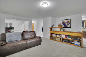 Living room featuring a textured ceiling and carpet flooring