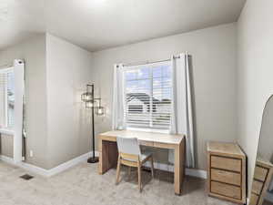 Office area featuring a wealth of natural light, a textured ceiling, and light colored carpet