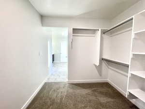 Spacious closet featuring carpet floors