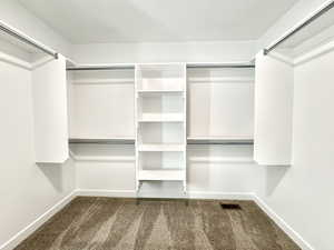 Spacious closet with carpet floors