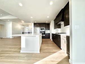 Kitchen featuring tasteful backsplash, appliances with stainless steel finishes, an island with sink, light hardwood / wood-style floors, and custom exhaust hood