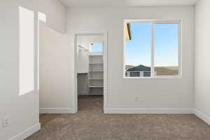 Interior space with carpet, a spacious closet, and a closet