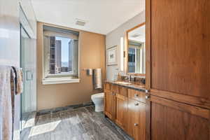 Bathroom with toilet, vanity, a wealth of natural light, and a shower with door