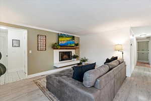 Living room featuring crown molding and light hardwood / wood-style floors