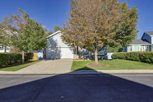 Obstructed view of property featuring a front lawn and a garage