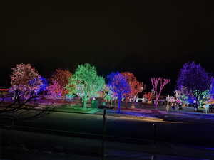 View of Christmas lights from the front yard