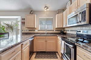 Kitchen featuring dark stone counters, a healthy amount of sunlight, sink, and appliances with stainless steel finishes