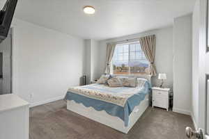 Carpeted bedroom with a textured ceiling