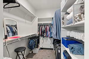 Spacious closet featuring carpet