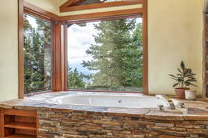 Bathroom with a bathing tub and a wealth of natural light