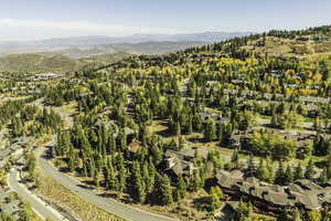 Drone / aerial view with a mountain view