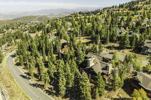 Aerial view with a mountain view