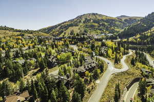 Drone / aerial view with a mountain view