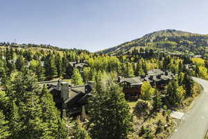 Aerial view with a mountain view