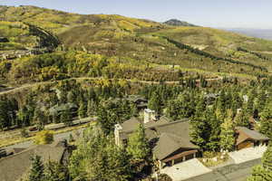 Birds eye view of property featuring a mountain view