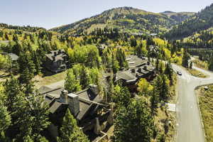 Bird's eye view featuring a mountain view