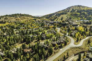 Aerial view with a mountain view