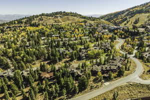 Birds eye view of property with a mountain view