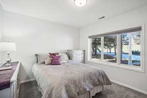 Bedroom with dark colored carpet