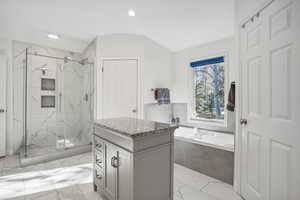 Bathroom with shower with separate bathtub and vanity