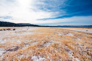 View of local wilderness with a mountain view and a rural view