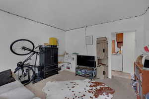 Living room with washer / clothes dryer and light carpet