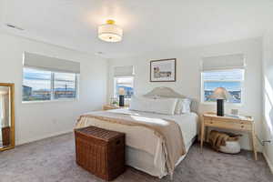 Primary Bedroom featuring multiple windows and light carpet