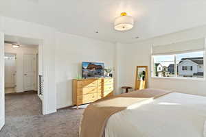 View of carpeted primary bedroom, natural light