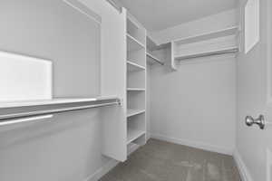 Walk in closet with carpet flooring