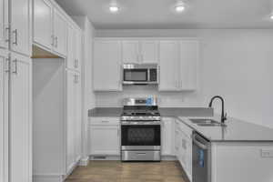 Kitchen with white cabinets, sink, stainless steel appliances, and dark wood-type flooring