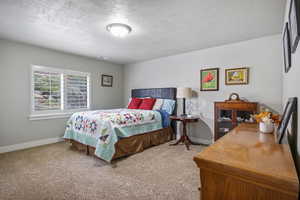 Carpeted bedroom with a textured ceiling