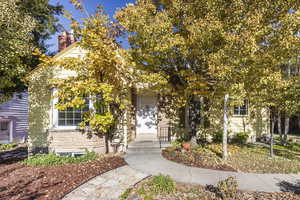 Front door, framed by grapevines and aspens