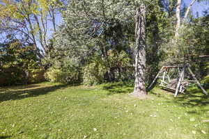 Backyard garden swing in the shade of a large pine tree