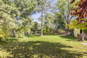 View of backyard, looking eastward toward garden swing