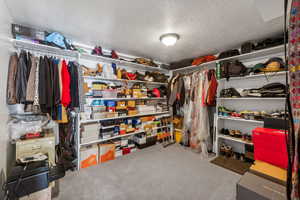 Spacious closet featuring carpet flooring