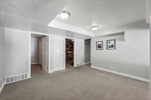 Basement featuring light colored carpet and a textured ceiling