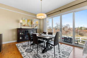 Dining room with hardwood / wood-style floors