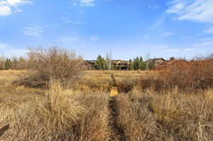 View of bridge to Willow Creek trail and open space