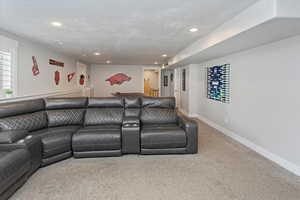 View of carpeted cinema room