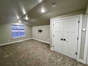 Additional living space with a textured ceiling, carpet, and vaulted ceiling