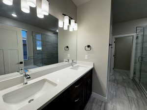 Primary bathroom with vanity and a shower with shower door