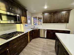 Kitchen featuring sink, light wood-type flooring, appliances with stainless steel finishes, tasteful backsplash, and dark brown cabinets