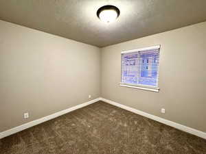 Unfurnished room featuring a textured ceiling and carpet floors